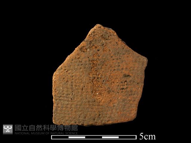 陶片藏品圖，第1張