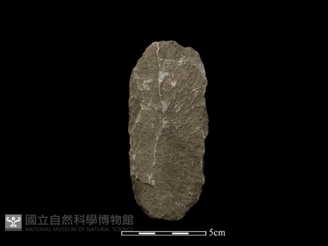 斧鋤形器藏品圖，第1張