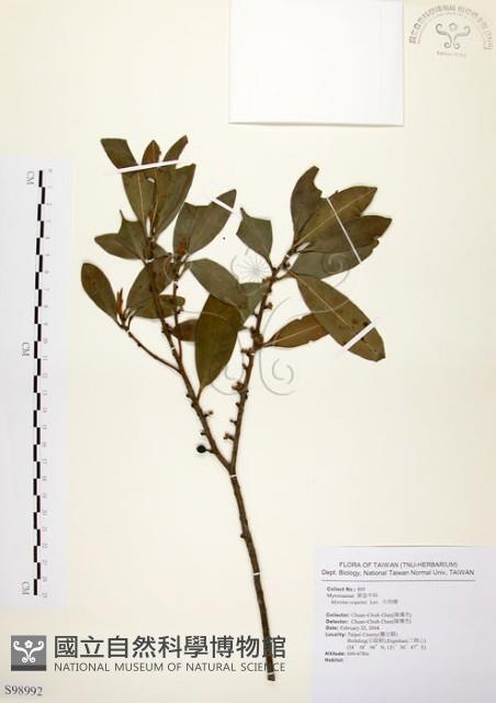 大明橘藏品圖，第1張