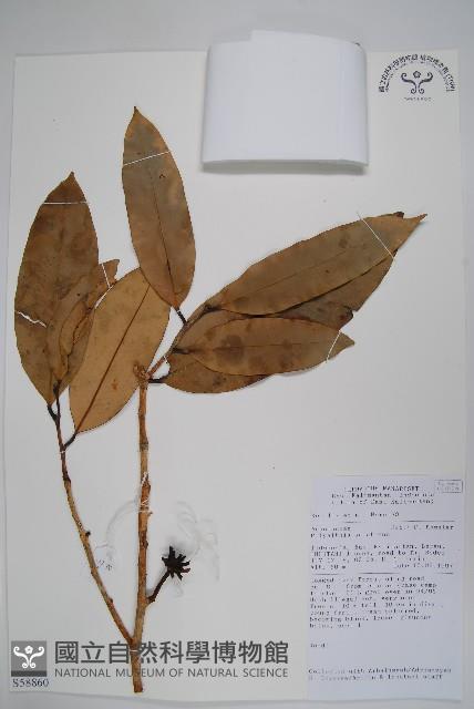 登錄號:S058860藏品圖，第1張