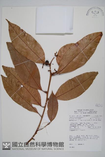 登錄號:S058880藏品圖，第1張