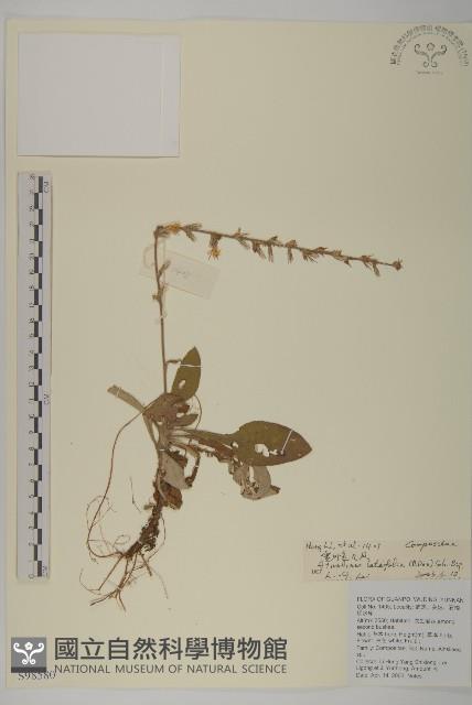 台灣鬼督郵藏品圖，第1張