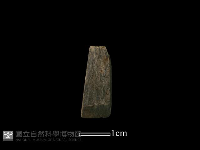 錛鑿形器藏品圖，第2張