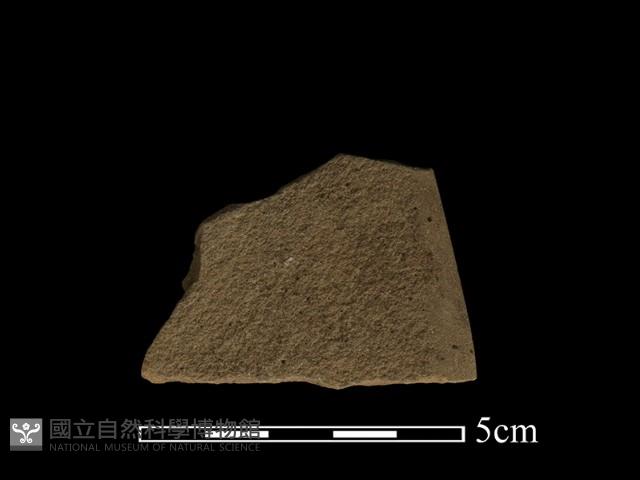 石鋸藏品圖，第1張