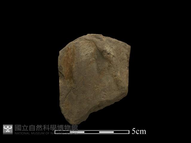 斧鋤形器藏品圖，第2張