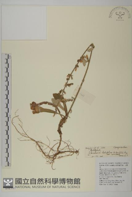 台灣鬼督郵藏品圖，第1張