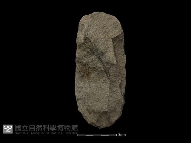 斧鋤形器藏品圖，第2張