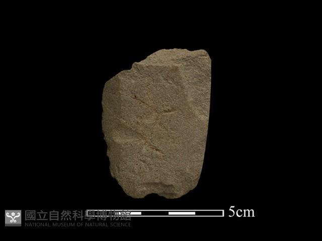磨製斧鋤形器藏品圖，第2張