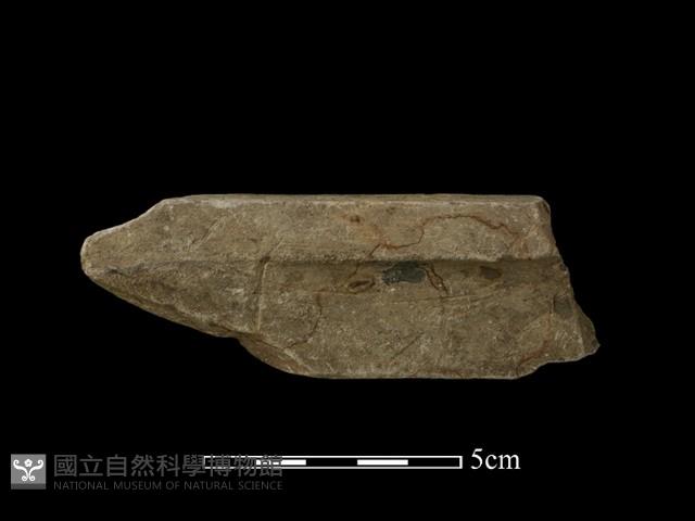 帶加工痕石材藏品圖，第1張