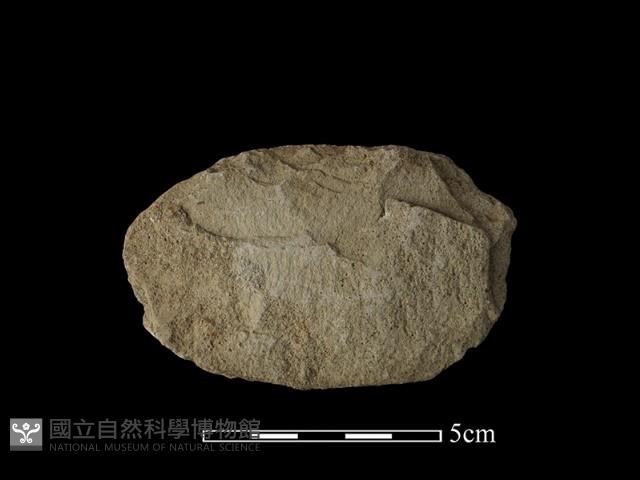 斧鋤形器藏品圖，第2張