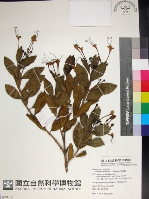 苦林盤藏品圖，第1張