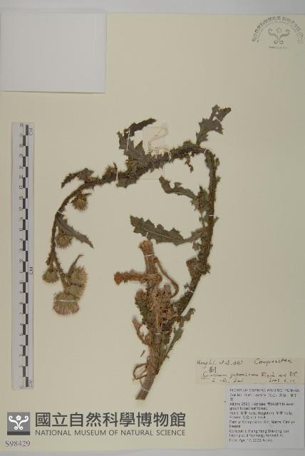 小薊藏品圖，第1張