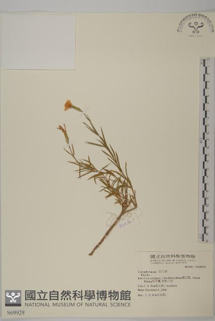 登錄號:S069929藏品圖，第1張