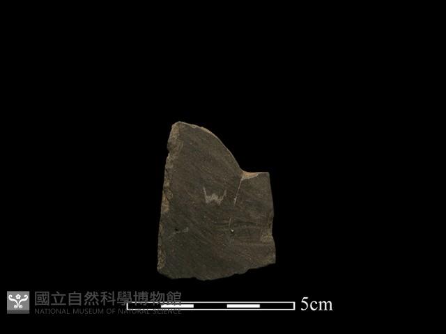 錛鑿形器藏品圖，第1張