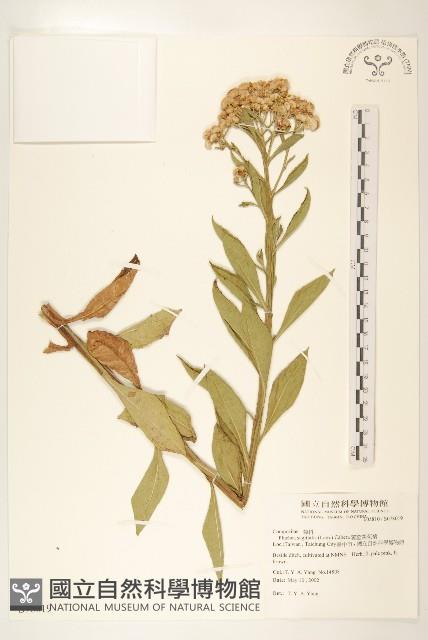 Accession Number:S078019 Collection Image, Figure 1, Total 2 Figures