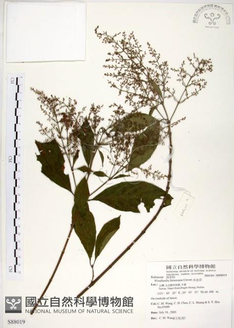 水金京藏品圖，第1張