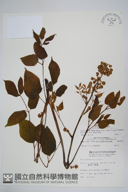 登錄號:S008119藏品圖，第1張