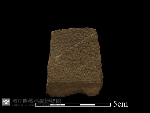 石鋸藏品圖，第1張