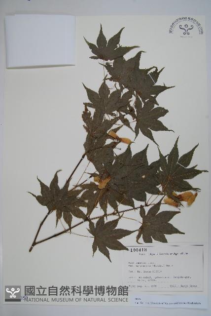 登錄號:S128059藏品圖，第1張