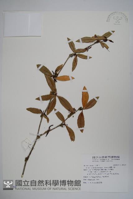 登錄號:S109859藏品圖，第1張