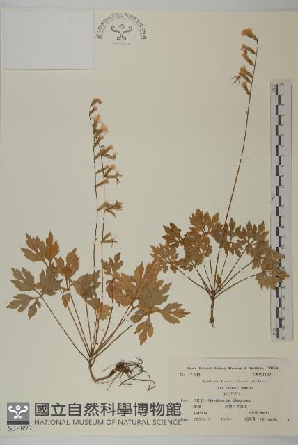 登錄號:S039899藏品圖，第1張