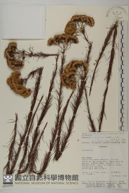 登錄號:S080599藏品圖，第1張