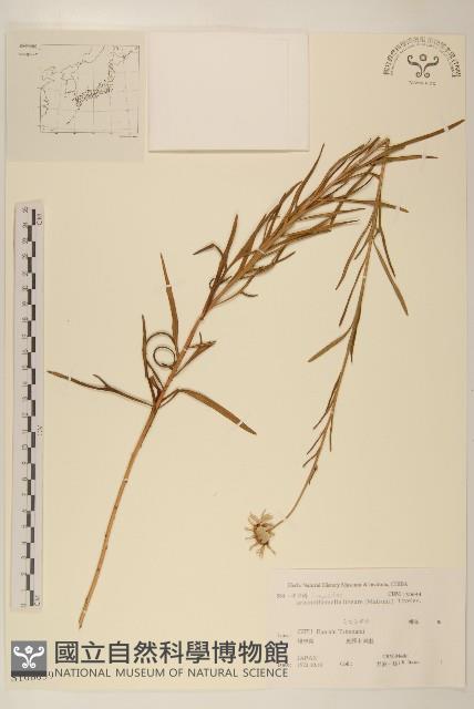 登錄號:S108039藏品圖，第1張