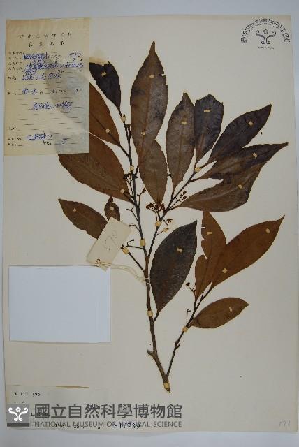 登錄號:S019739藏品圖，第1張