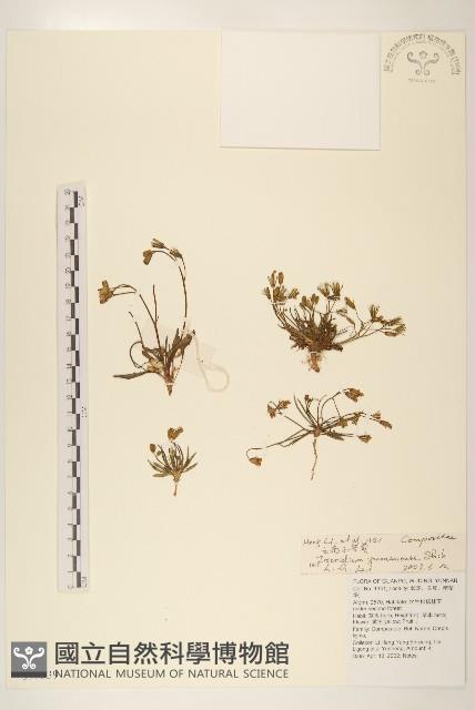 雲南水苦賈藏品圖，第1張