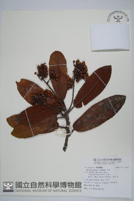 登錄號:S118939藏品圖，第1張