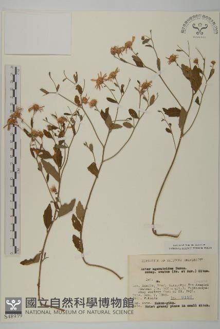 登錄號:S048939藏品圖，第1張