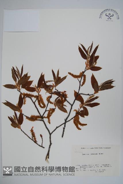 登錄號:S058539藏品圖，第1張