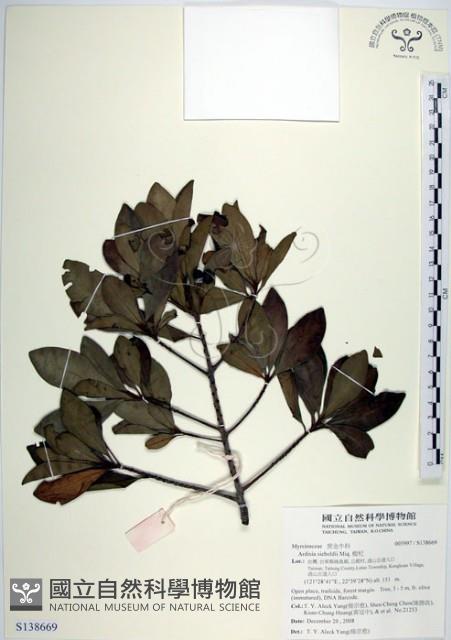 樹杞藏品圖，第1張