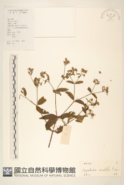 豨簽藏品圖，第1張