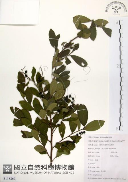 灰木藏品圖，第1張