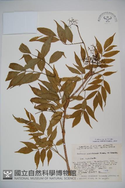 登錄號:S049169藏品圖，第1張