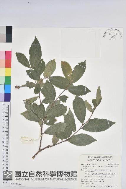 枯里珍藏品圖，第1張