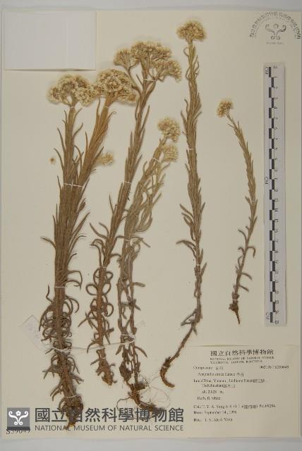 Accession Number:S059049 Collection Image, Figure 1, Total 2 Figures