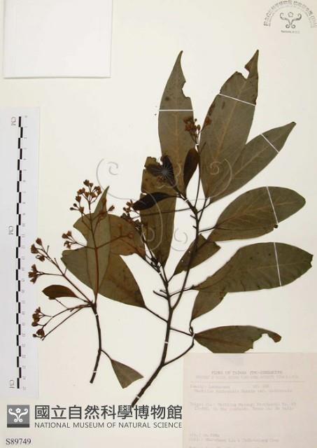 香楠藏品圖，第1張