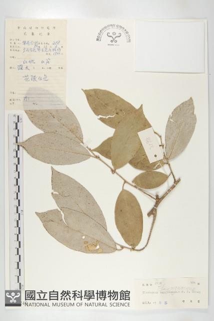 登錄號:S039249藏品圖，第1張