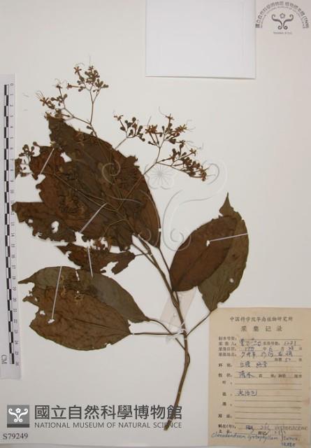 大青藏品圖，第1張