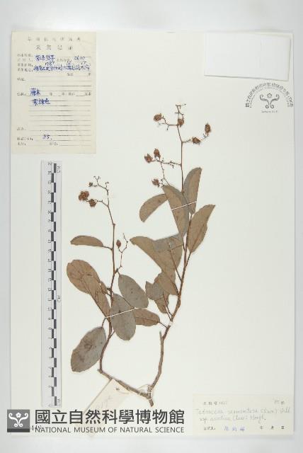 登錄號:S029449藏品圖，第1張