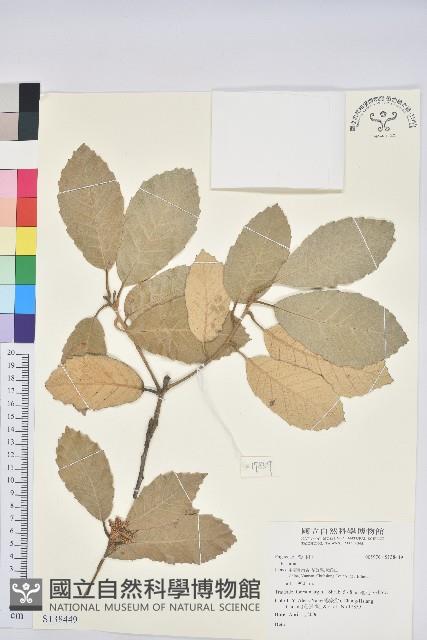 登錄號:S138449藏品圖，第1張