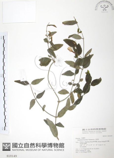 山素英藏品圖，第1張