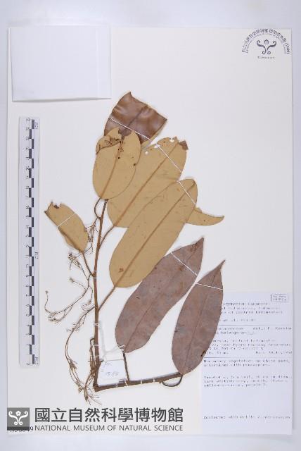 登錄號:S058849藏品圖，第1張