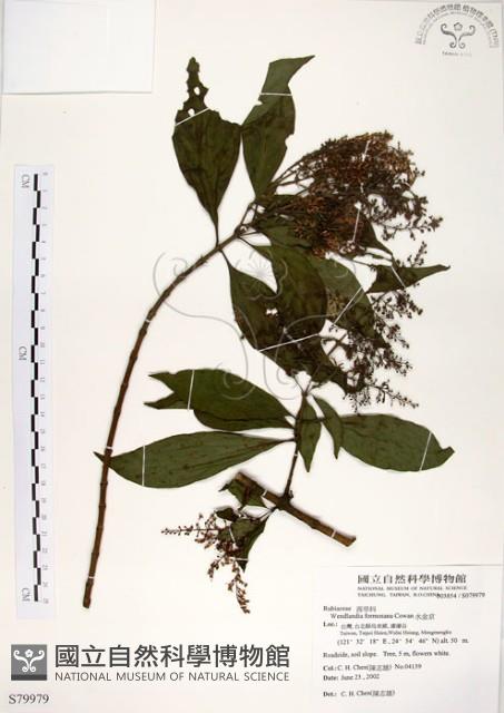 水金京藏品圖，第1張