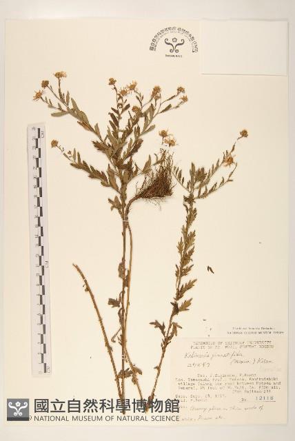 登錄號:S048979藏品圖，第1張