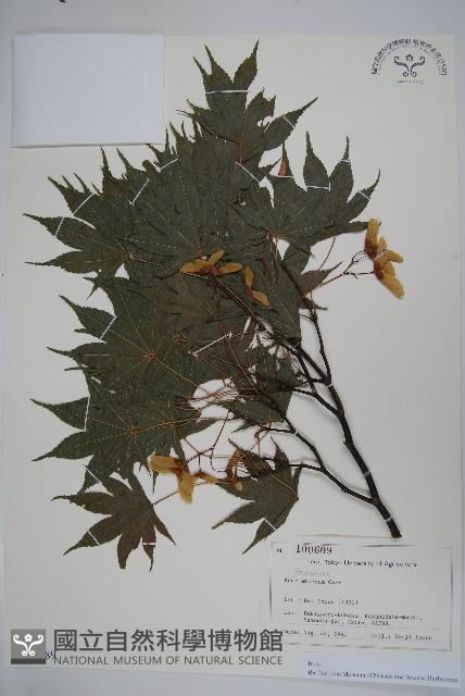 登錄號:S128089藏品圖，第1張