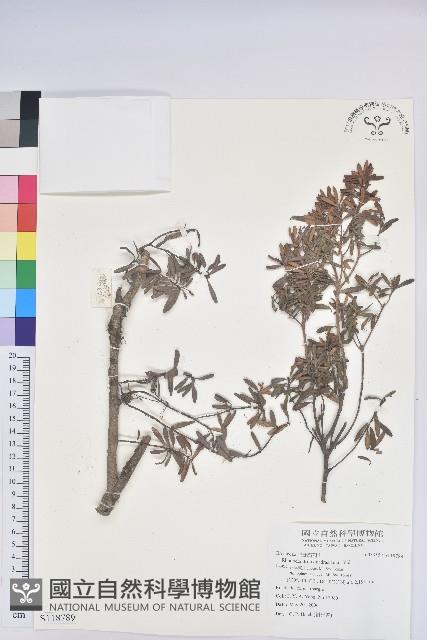 登錄號:S118789藏品圖，第1張