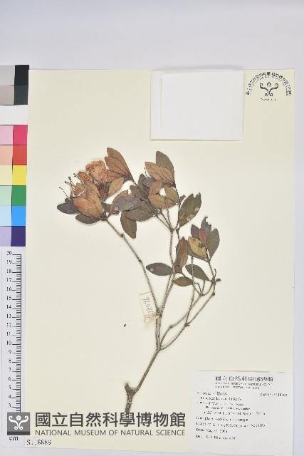 登錄號:S118889藏品圖，第1張